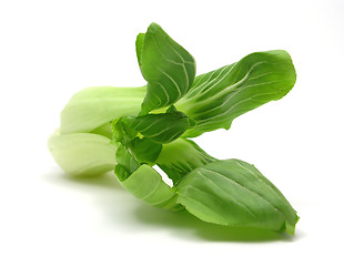 Image showing Pak choi arranged on a white background