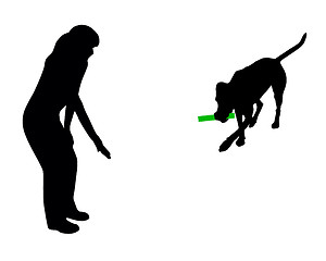 Image showing Dog training (obedience): command: bring stick