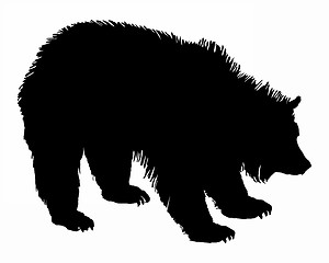 Image showing Grizzly