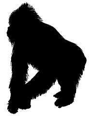 Image showing Gorilla silhouette