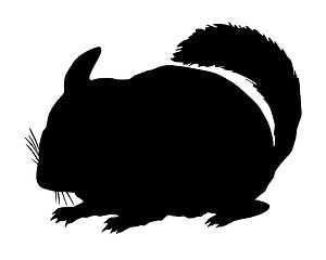 Image showing Chinchilla Silhouette