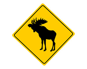 Image showing Moose warning sign