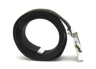 Image showing Rolled up belt