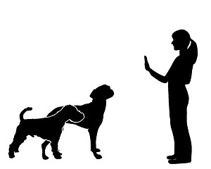 Image showing Dog Training