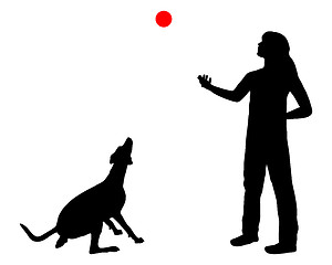 Image showing Dog training