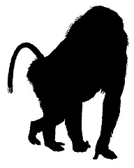 Image showing Baboon silhouette