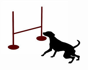 Image showing Agility: Dog is jumping over a hurdle