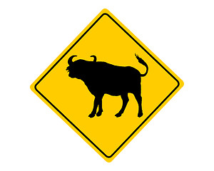 Image showing Buffalo warning sign