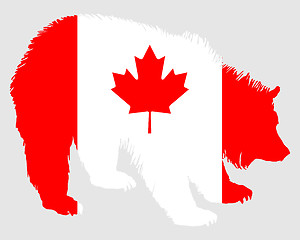 Image showing Canadian bear