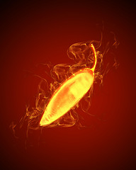 Image showing hot chili pepper by fire 