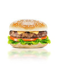 Image showing Delicious burger 