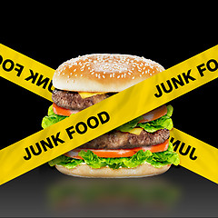 Image showing Junk Food