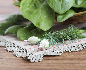Image showing Fresh spinach 