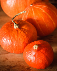 Image showing Pumpkins On Grunge Wooden Backdrop Background