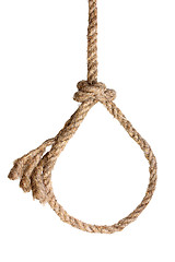 Image showing Rope noose on white