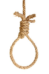 Image showing Rope noose on white