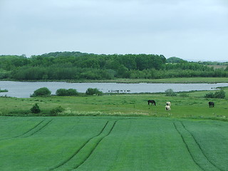 Image showing danish landscape