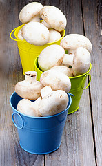 Image showing Raw Champignons