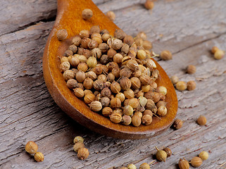 Image showing Coriander