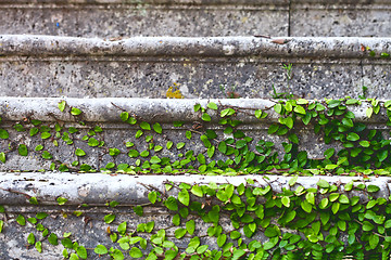 Image showing old stairs in park