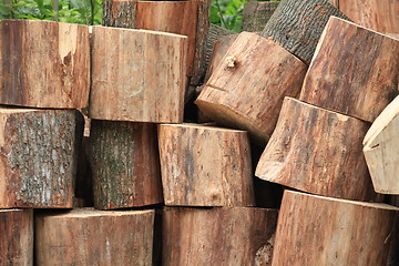 Image showing tree trunk sawn into pieces  firewood