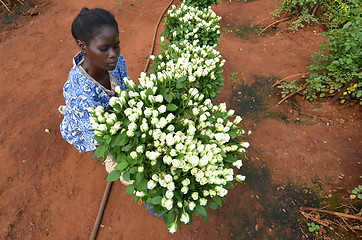 Image showing african woman