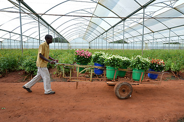 Image showing african farmer