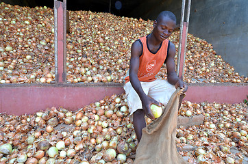 Image showing african farmer