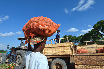 Image showing african farmer