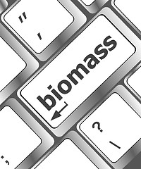 Image showing Keyboard keys with biomass word button