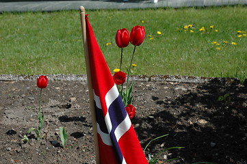 Image showing Flag and flowers