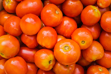 Image showing Red Tomatoes Background 