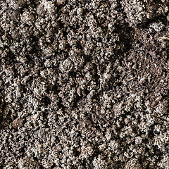 Image showing Soil dirt background texture