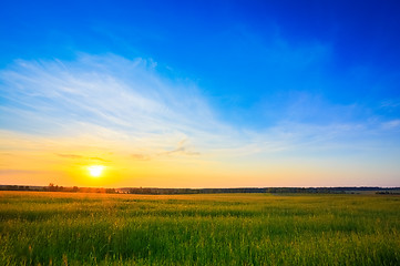 Image showing Sunset over rural countryside field