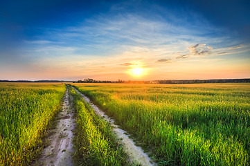 Image showing Sunset over rural road in green field 