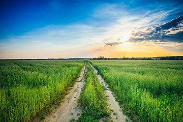 Image showing Sunset over rural road in green field 