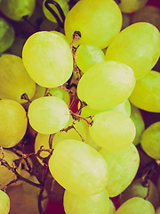 Image showing Retro look Grape picture