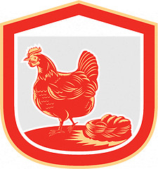 Image showing Hen Chicken Nest Egg Shield Retro