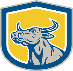 Image showing Bull Head Shield Retro