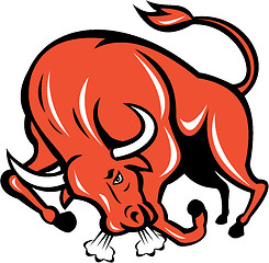 Image showing Angry Bull Charging Cartoon