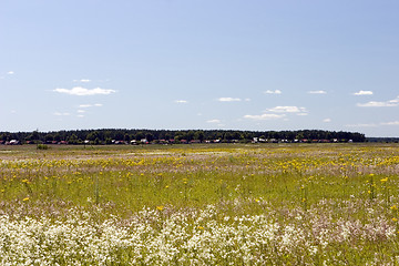 Image showing blue sky, green forest and yellow field