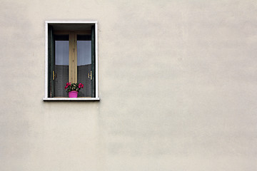 Image showing Flowers on the window