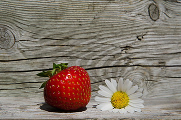 Image showing Summer symbols - strawberry and daisy flower