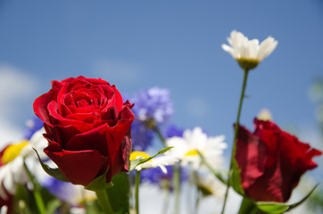 Image showing Focus on a red rose in a bouquet of summer flowers