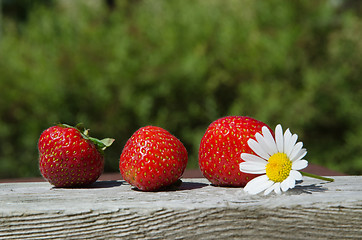 Image showing Fresh strawberries at green background