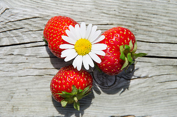 Image showing Summer objects - daisy and strawberries