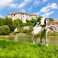 Image showing Zuzemberk Castle, Slovenian tourist destination.