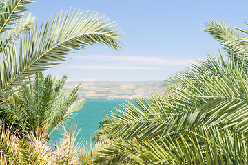 Image showing Lake Kinneret or Sea of Galilee in the frame of palm fronds