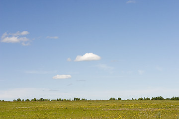 Image showing blue sky, green forest and yellow field