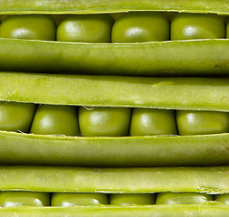 Image showing Green peas and pods